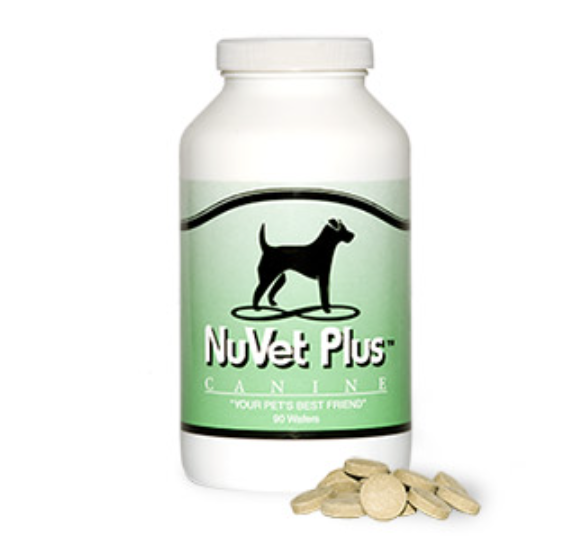 dog vitamin supplement