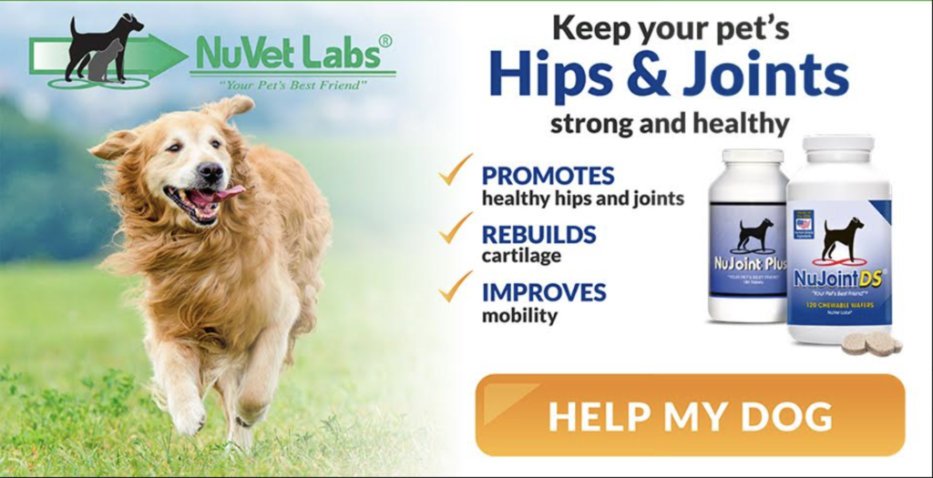 NuVet Joint and Hip supplement